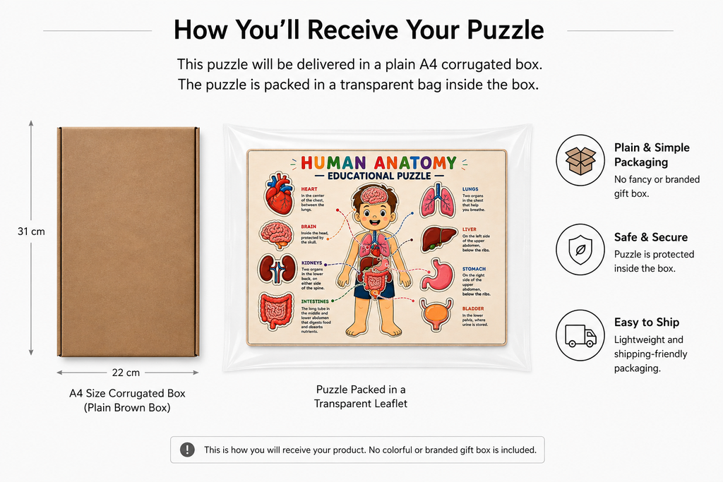 Human Anatomy Educational MDF Puzzle (A4 Size)